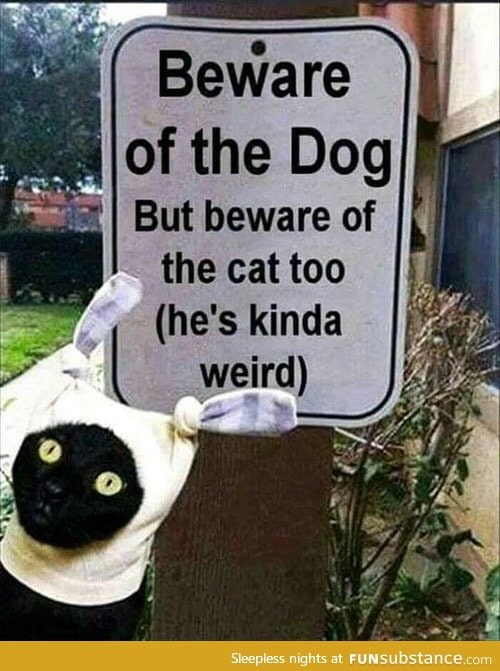Beware of the dog and the cat too