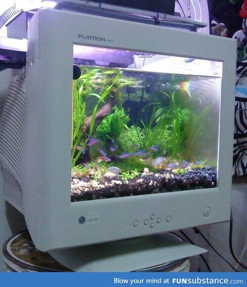 Fish tank computer monitor