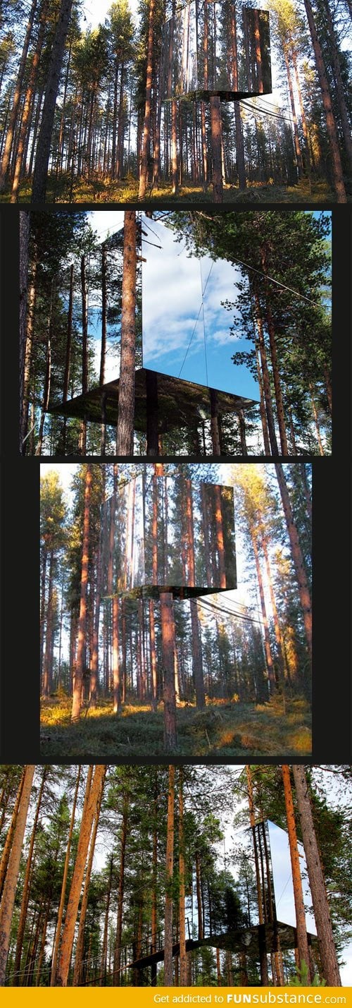 Mysterious Mirror Treehouse in Sweden