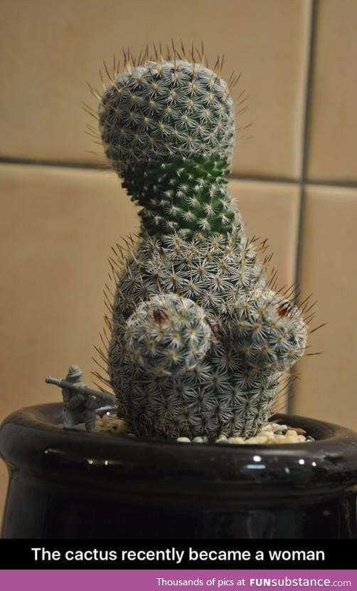 Female cactus