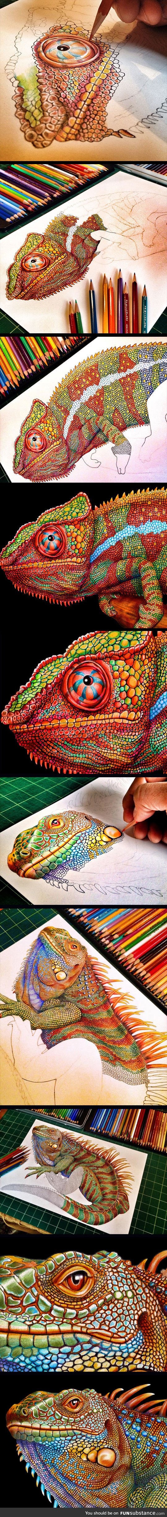 Incredibly Detailed Drawing Of A Chameleon Using Color Pencils