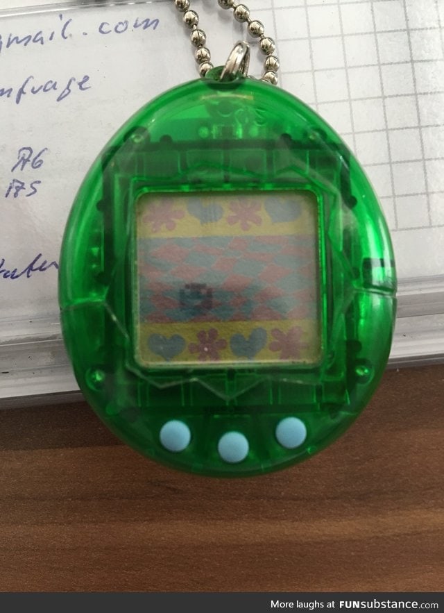 "I'm 32 and my Tamagotchi is still alive"