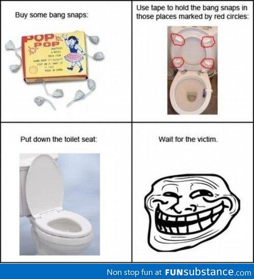 Toilet seat troll