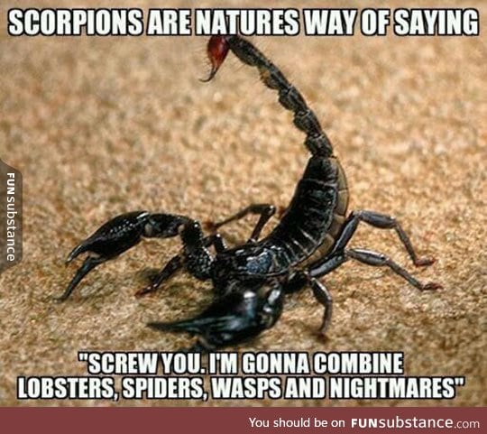 Truth about scorpions