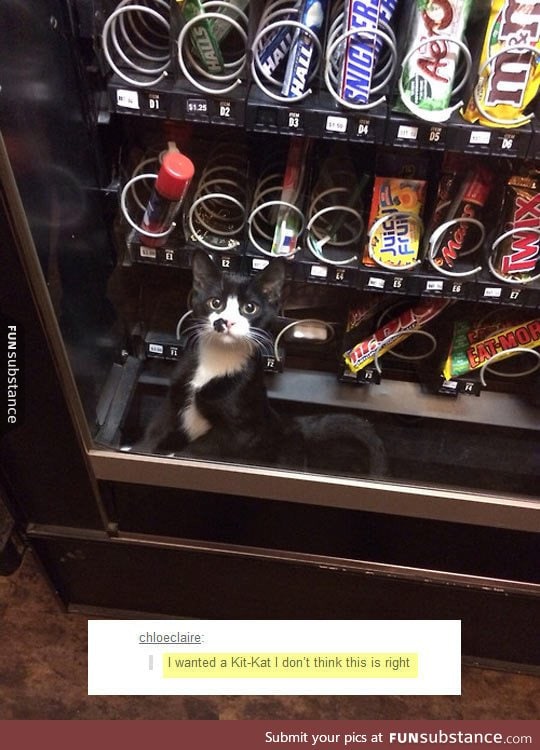Vending machines are getting weirder