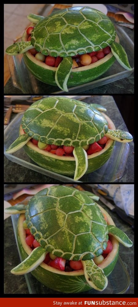 Amazing Watermelon Turtle Art!