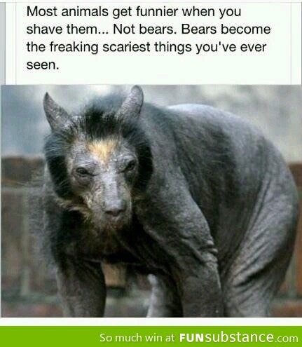 Shaved animals