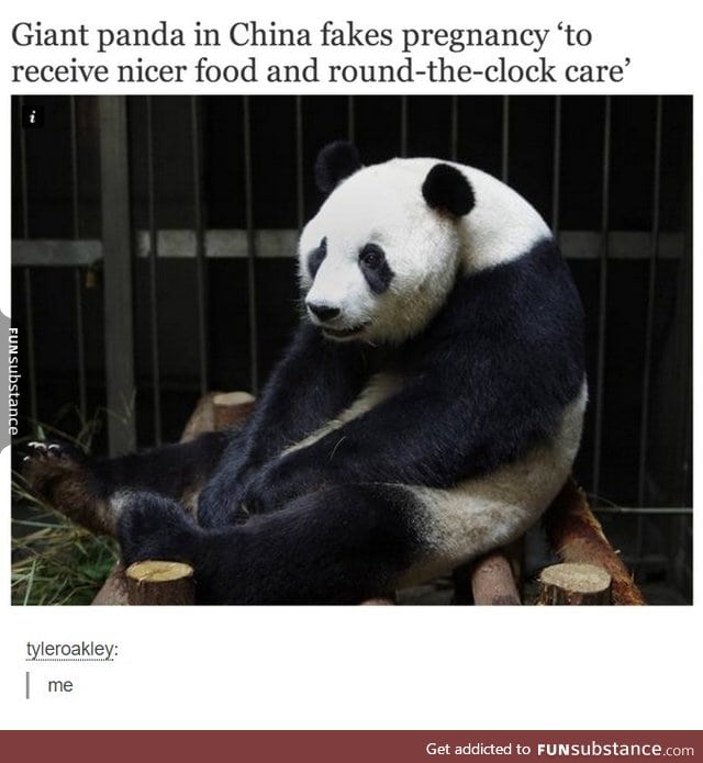 Crafty panda