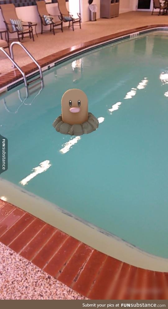 This is bullshit diglett and you know it