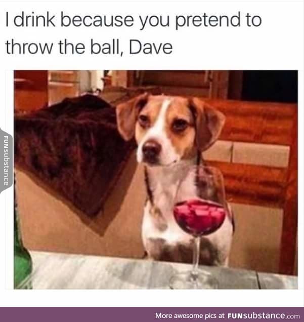 Getting Really Tired Of Your Sh*t Dave