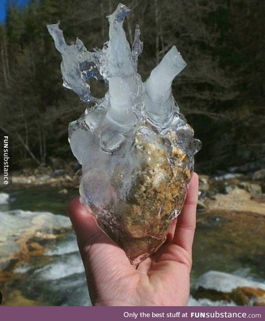 Found the heart of my ex