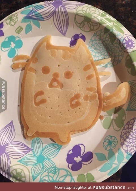 Cat pancake