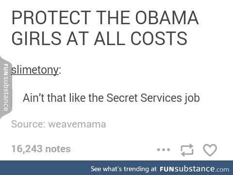 Let secret service do their job dammit
