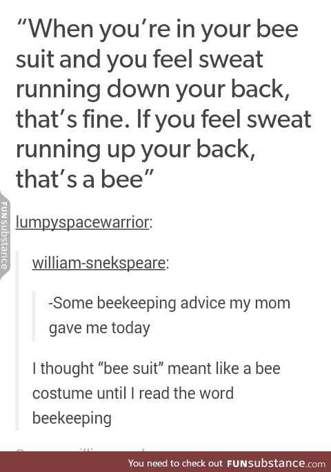I was imagining a giant bee flying around doing bee stuff