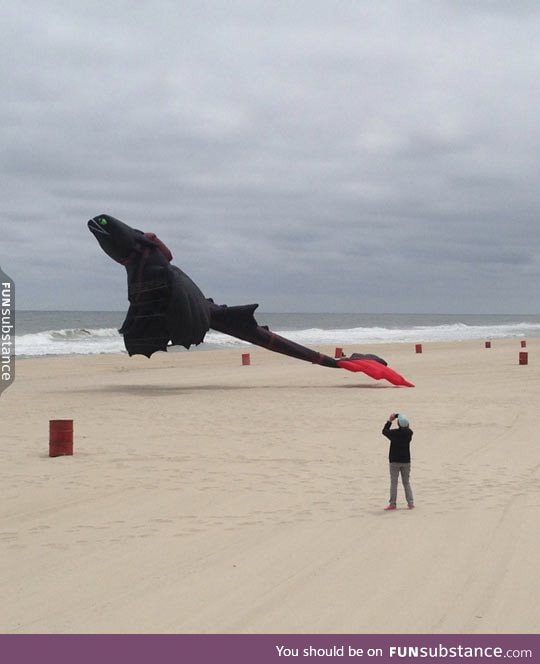 Toothless kite on the beach