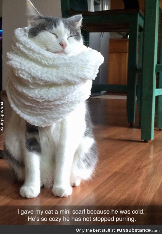 Cozy kitty scarf