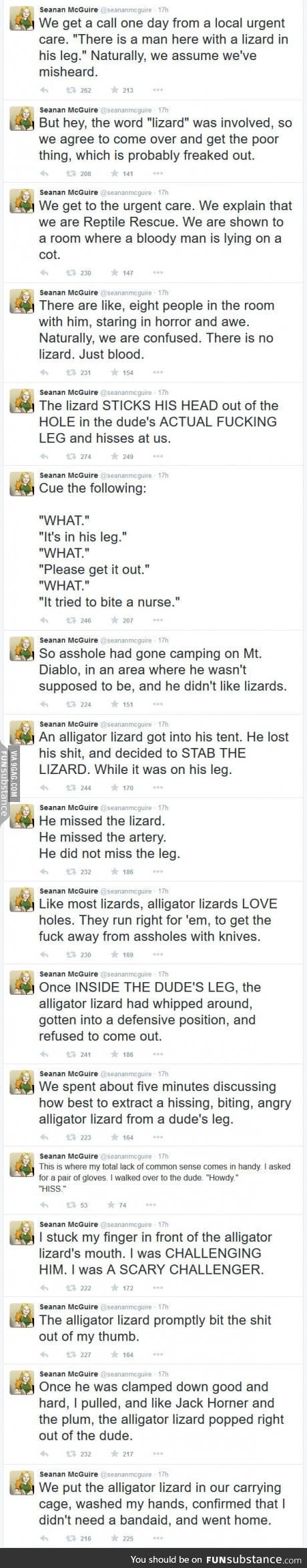 A lizard in a leg