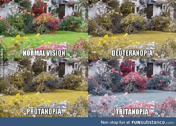 Some of the types of colorblind (sorry for those who are colorblind and can't see)