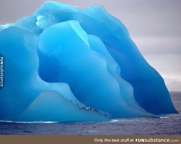 Penguins on a flipped iceberg