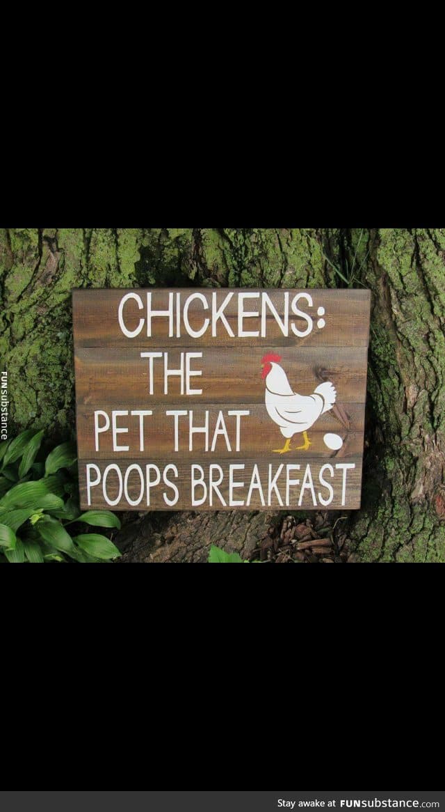 Want this sign for my chickens
