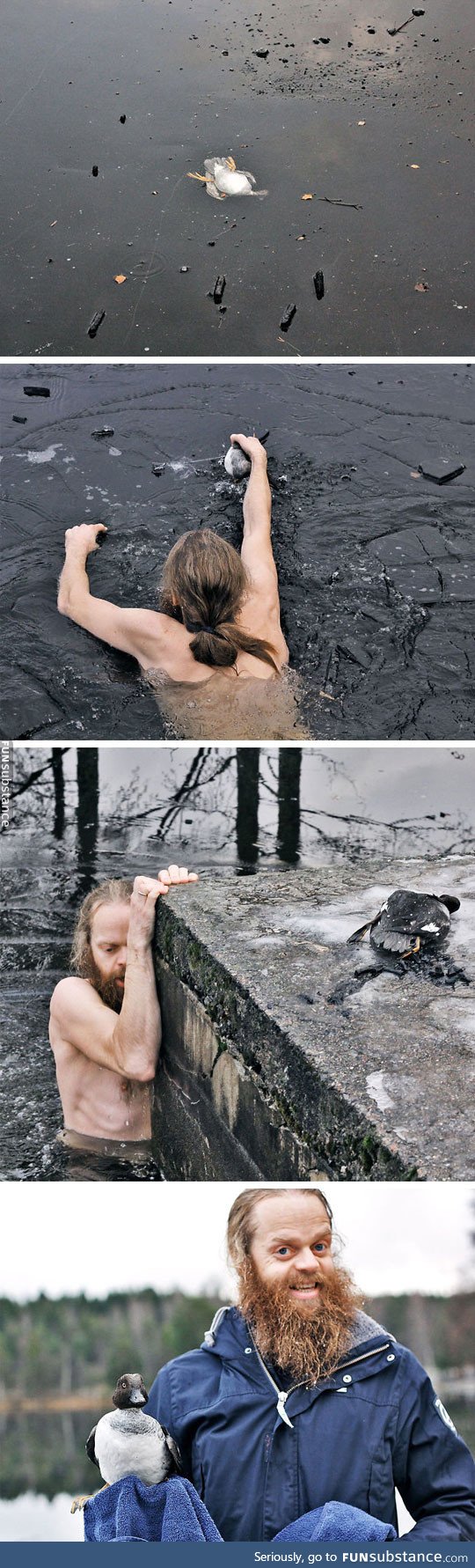 Norwegian man saves a duck