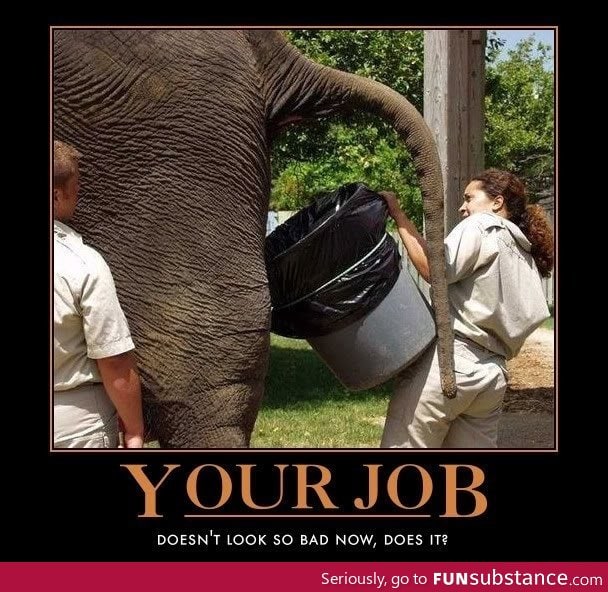 Your Job Doesn't Look So Bad Now
