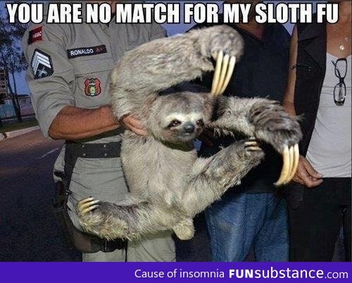 Sloth Fu fighter