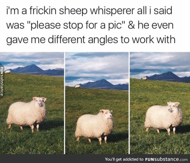 The sheep whisperer