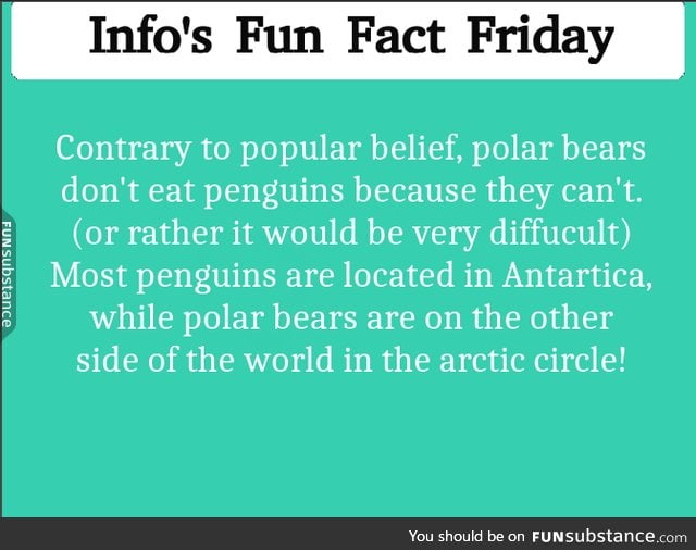 Polar Bears aren't THAT mean