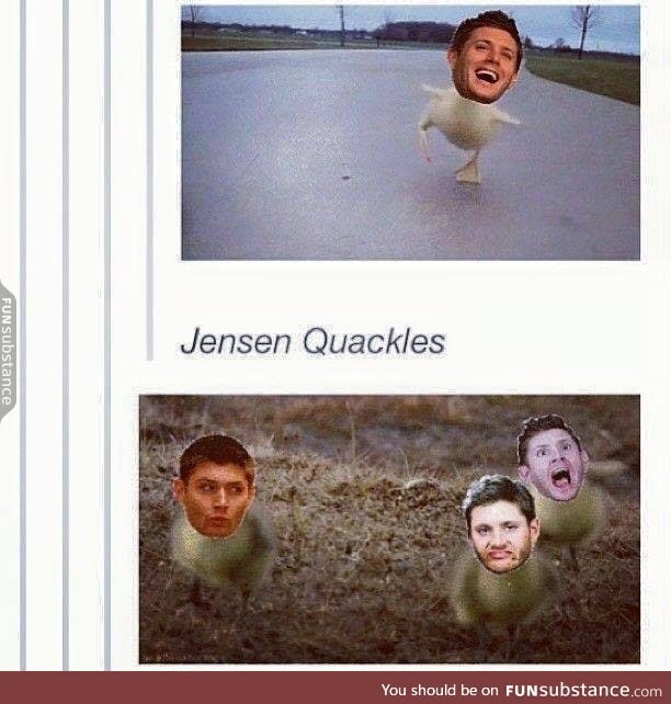 Quackles!