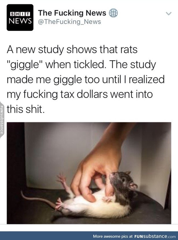 Rats can giggle