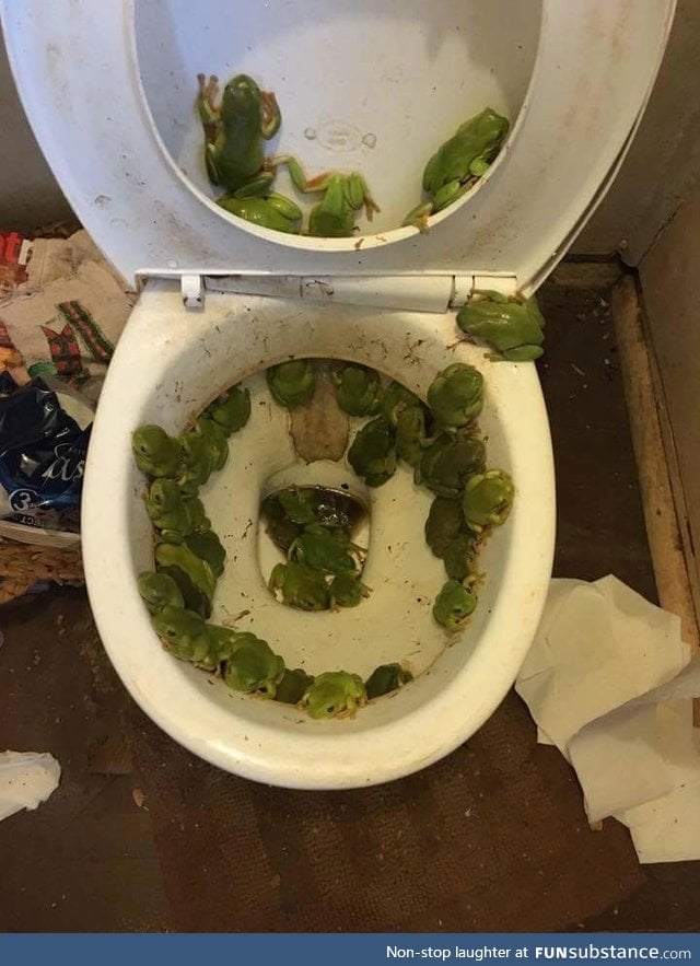 Shitter's Frogged