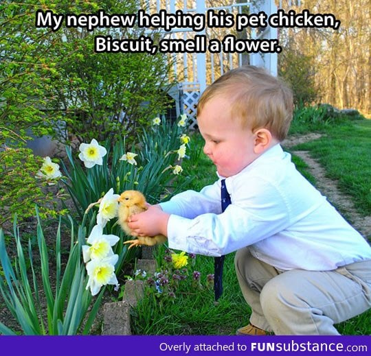 This kid loves his pet chicken