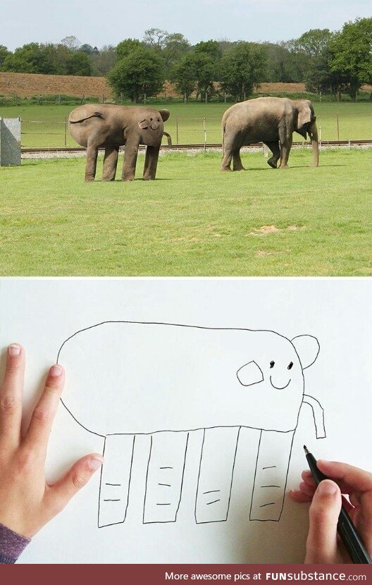 Realistic drawing
