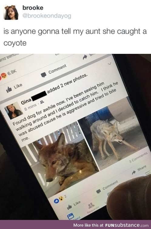 Grandma got bit by a coyote