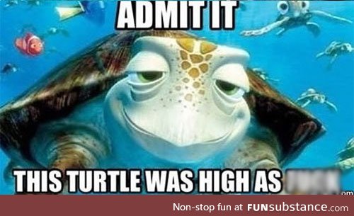 I love this turtle <3