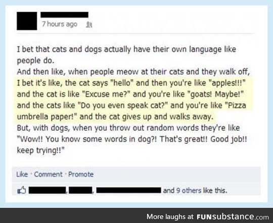 Do you even speak cat, human?