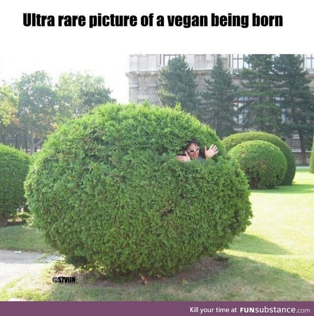 Birth of a vegan