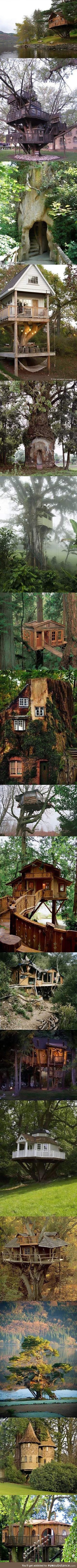 I need a grownup tree house in my life