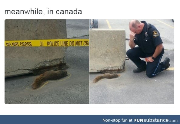 Canada being Canada.