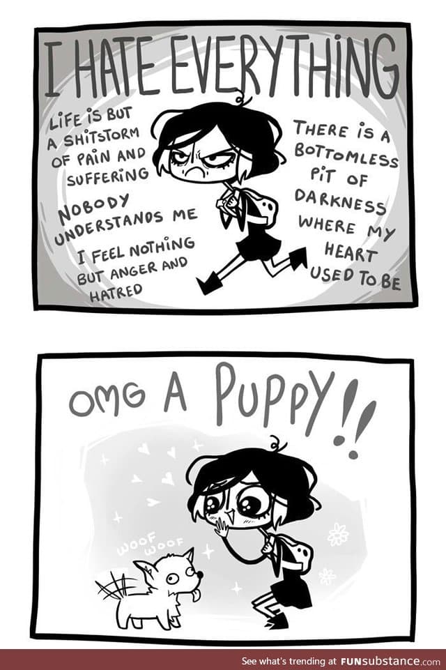 Puppers make everything better
