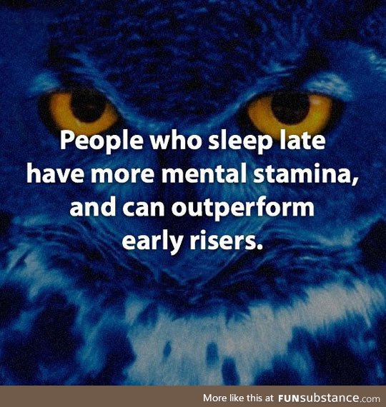 Fun fact about night owls