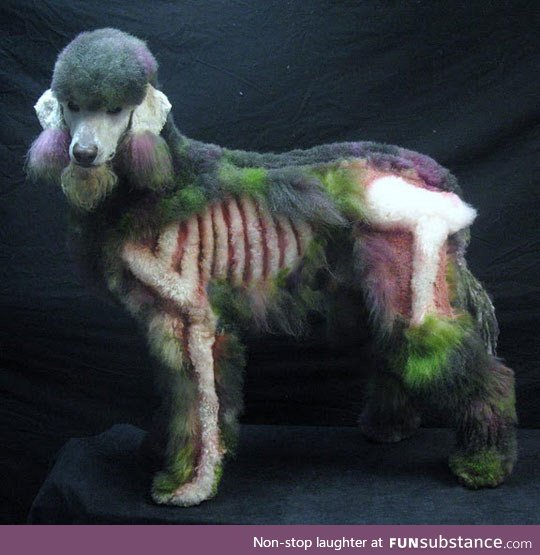 Ever seen a zombie poodle?