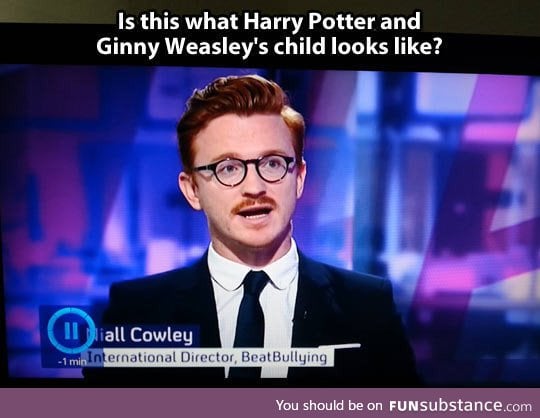 Probably Harry Potter's Illegitimate Son