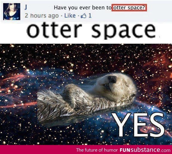 otter space