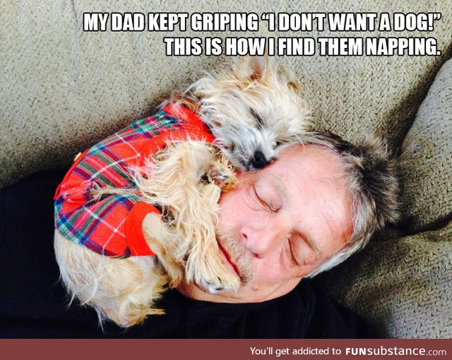Dads Who Didn’t Want Any Dogs In Their Lives