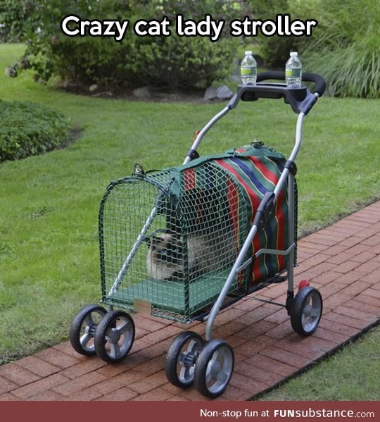 Stroller for cat people