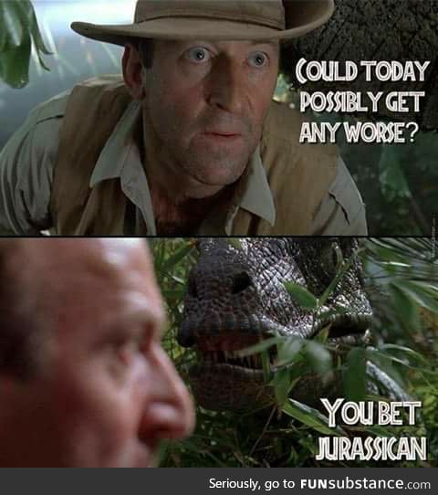 Clever girl