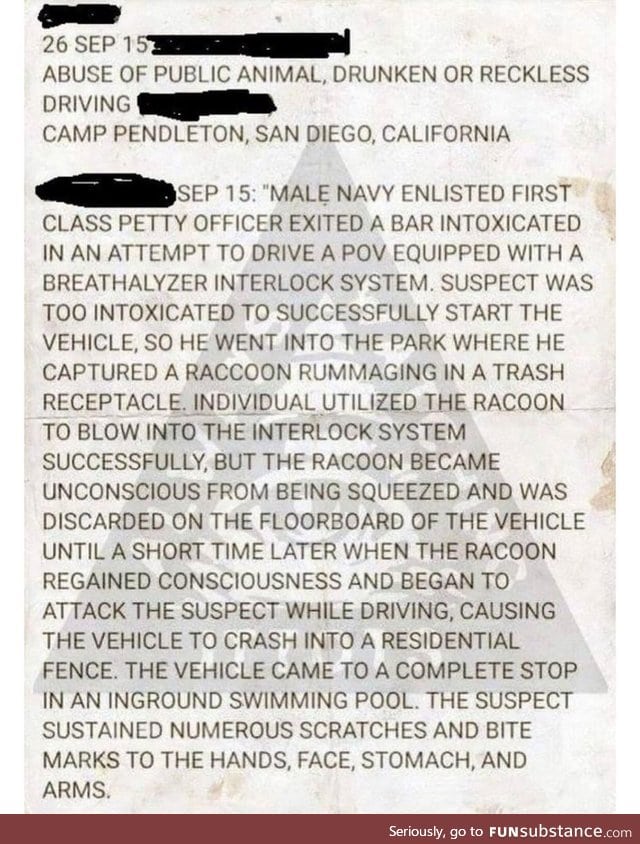 Greatest police report ever