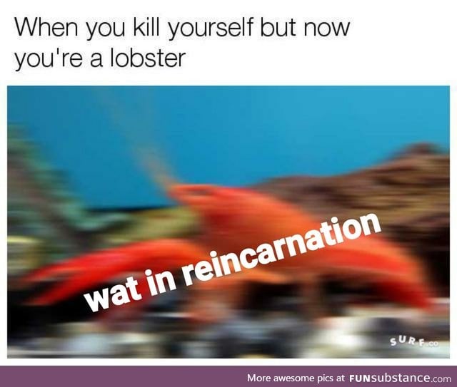 What in crustacean